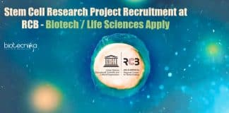 RCB Vacancy 2021