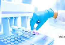 Research Associate Job For Life Science With Rs. 47,000 pm at IIT Kanpur Research Associate Job