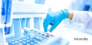 Research Associate Job