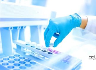 Research Associate Job