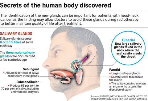 Top 10 Scientific Breakthroughs in 2020