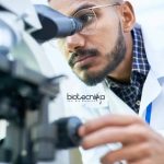 Sathyabama University Research Fellow