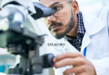 Sathyabama University Research Fellow Job – Applications Invited Sathyabama University Research Fellow