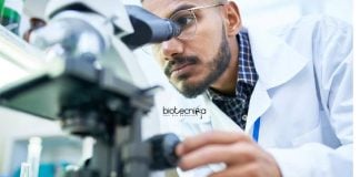 Sathyabama University Research Fellow