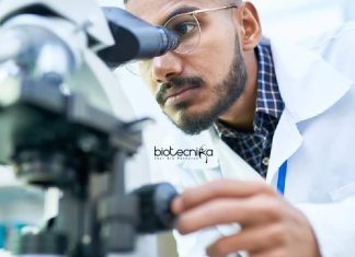Sathyabama University Research Fellow