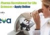 Teva Pharma Recruitment