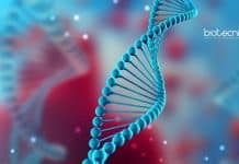 University of Calcutta Project Assistant Job – Applications Invited University of Calcutta Project