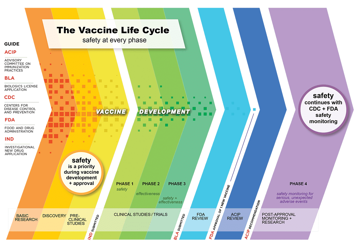 Coronavirus Vaccine Mechanism