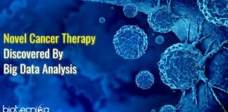 Novel Cancer Therapy