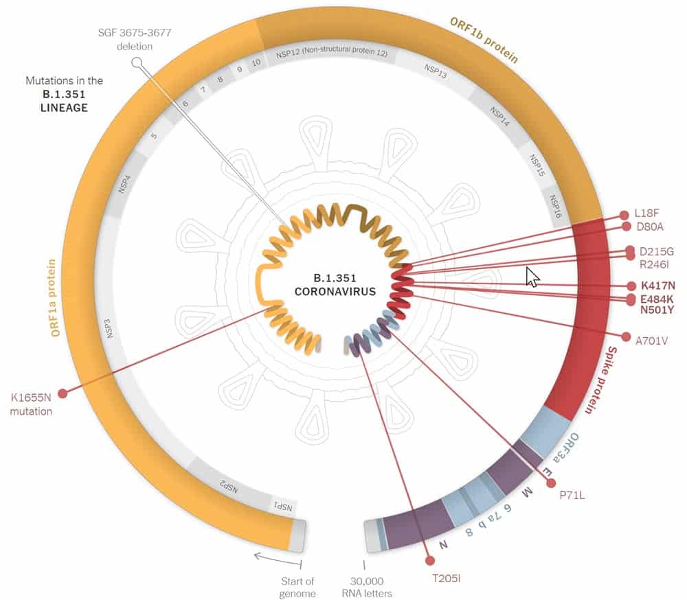 Variants Mutations of SARS-CoV-2