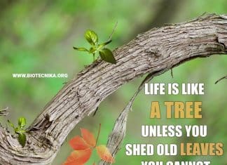 Biotecnika Times – Newsletter 01.02.2021 – Govt BCIL Biotech Job, Govt CSIR-URDIP Life