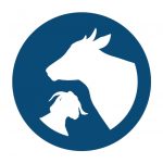 Animal Biotechnology Career Opportunities