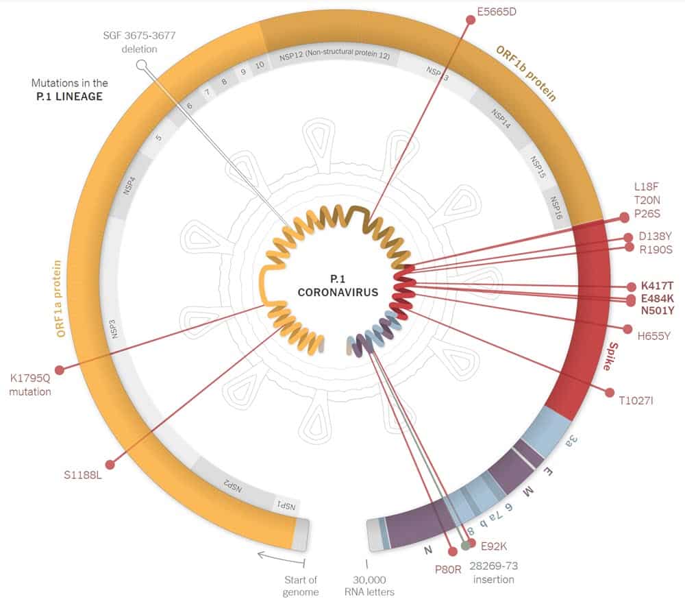 Variants Mutations of SARS-CoV-2