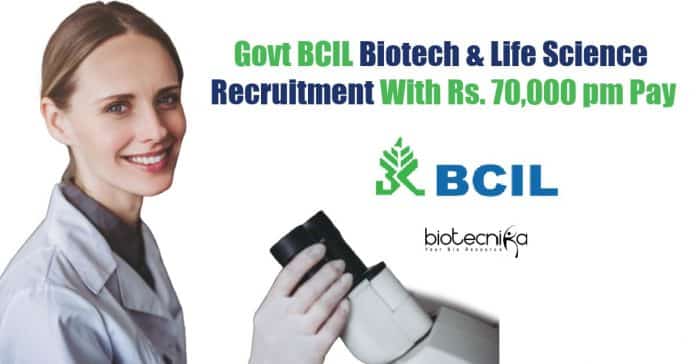 BCIL Jobs With
