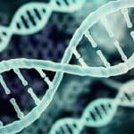 Bioinformatics AIIMS Delhi