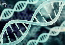 Bioinformatics AIIMS Delhi Senior Research Fellow Job Opening Bioinformatics AIIMS Delhi