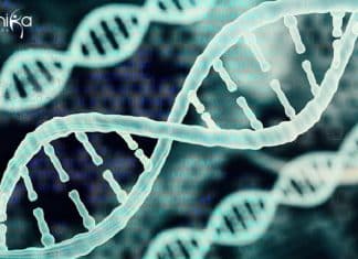 Bioinformatics AIIMS Delhi Senior Research Fellow Job Opening Bioinformatics AIIMS Delhi