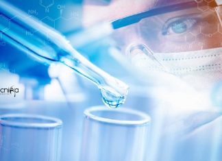 Biological Sciences IIT Kanpur Research Associate Job – Applications Invited Biological Sciences IIT Kanpur