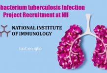 Mycobacterium tuberculosis Infection Project Recruitment at NII Biotech Research Job NII