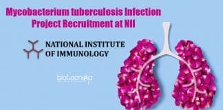 Biotech Research Job NII