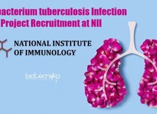 Biotech Research Job NII