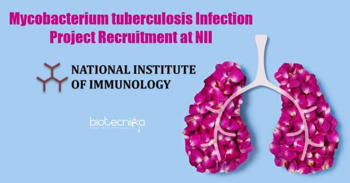 Biotech Research Job NII