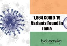 According To A Study, India Has 7,684 COVID-19 Variants COVID-19 Variants In India