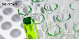 CSIR-IICB Junior Research Fellow