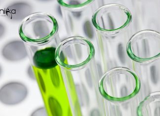 CSIR-IICB Junior Research Fellow (Project) Recruitment CSIR-IICB Junior Research Fellow