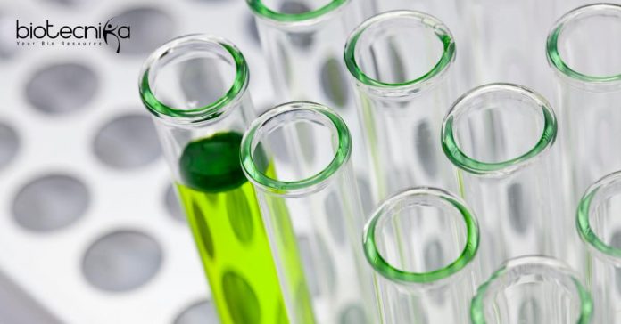 CSIR-IICB Junior Research Fellow