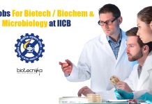 CSIR Jobs For Biotech / Biochem & Microbiology at IICB CSIR Jobs