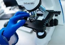 CUP Junior Research Fellow Job – Life Sciences Applications Invited CUP Junior Research Fellow