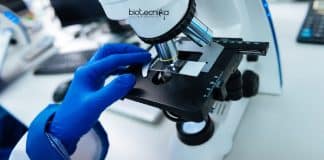 CUP Junior Research Fellow