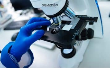 CUP Junior Research Fellow Job – Life Sciences Applications Invited CUP Junior Research Fellow