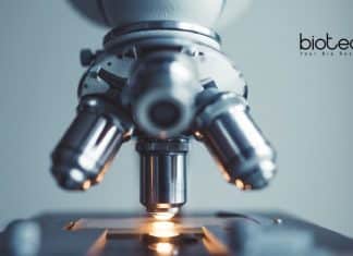 Central University of Punjab Life Science Research Job Opening CUP Lifesciences JRF Job