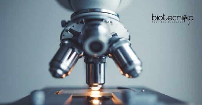 CUP Lifesciences JRF Job