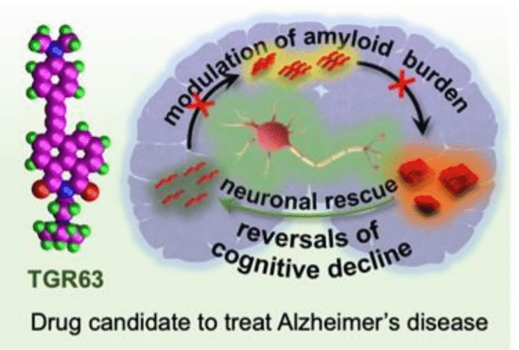 Potential drug candidate for Alzheimer’s