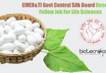 CMER&TI Govt Central Silk Board Research Fellow Job For Life Sciences Central Silk Board Vacancy