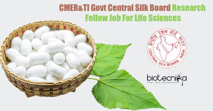 Central Silk Board Vacancy