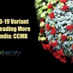 N440K New COVID-19 Variant Prevalent In South India : CSIR-CCMB Study New COVID-19 variant N440K