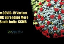 N440K New COVID-19 Variant Prevalent In South India : CSIR-CCMB Study New COVID-19 variant N440K