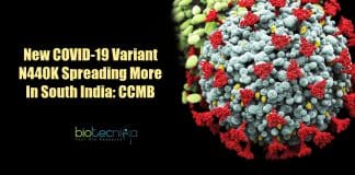 New COVID-19 variant N440K