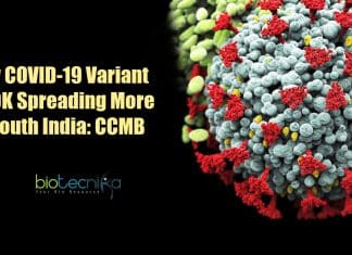 New COVID-19 variant N440K