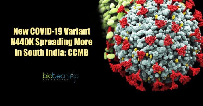 New COVID-19 variant N440K