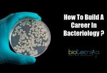How To Become A Bacteriologist? Career Opportunities In Bacteriology A career as a Bacteriologist