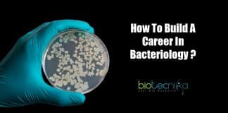 A career as a Bacteriologist