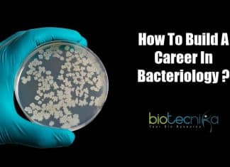 How To Become A Bacteriologist? Career Opportunities In Bacteriology A career as a Bacteriologist