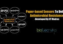 IIT Madras Researchers Develop Paper-Based Sensors To Detect Antimicrobial Resistance & Pollutants