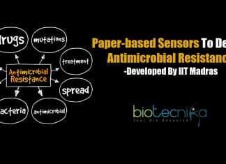IIT Madras Researchers Develop Paper-Based Sensors To Detect Antimicrobial Resistance & Pollutants