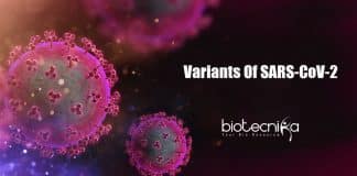 Variants Mutations of SARS-CoV-2